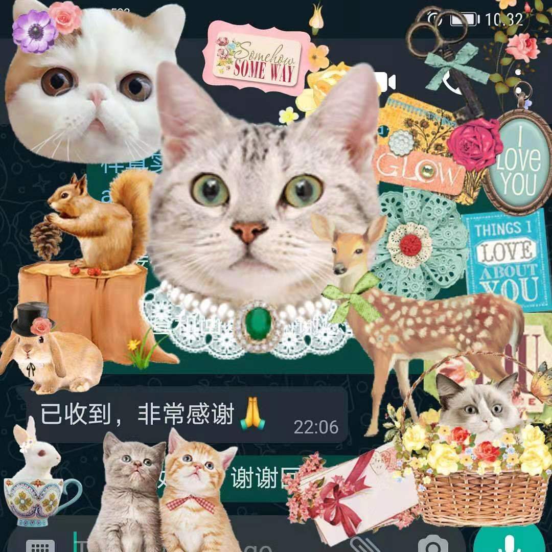 在五月十八号二零二一年，一位客户感激我们的服务：）On 18th May 2021, a client thanked our service ❤